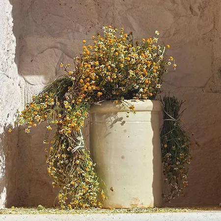 Salita Delle Pere Landhaus Alberobello