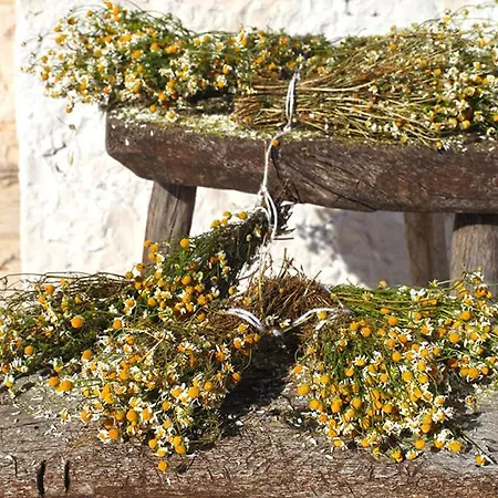 Salita Delle Pere Country house Alberobello