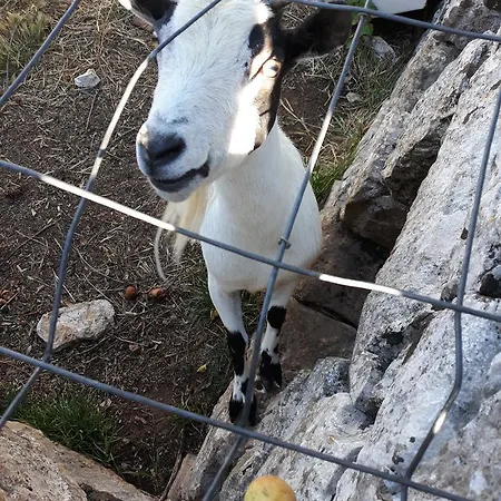 Salita Delle Pere Landhaus *